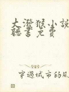 大泼猴小说有声听书免费