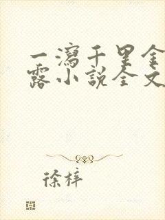 一泻千里金银花露小说全文免费阅读