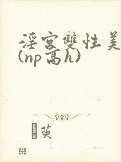 淫宫双性美人录(np高h)