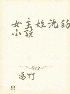 女主姓沈的古言小说