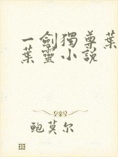 一剑独尊叶玄,叶灵小说