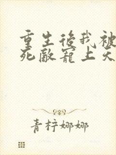 重生后我被渣男死敌宠上天