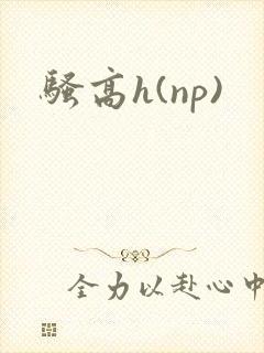 骚高h(np)封面