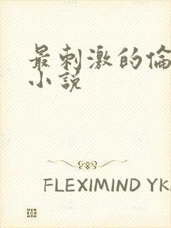 最刺激的伦子伦小说封面