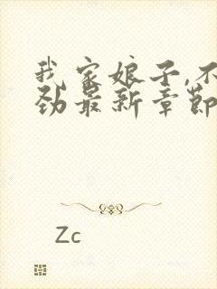 我家娘子,不对劲最新章节