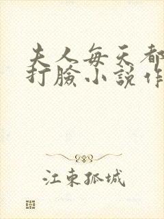 夫人每天都在线打脸小说作者