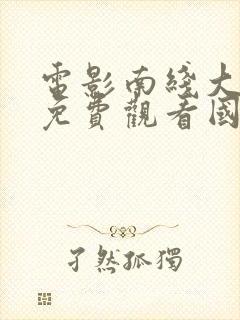 电影南线大追歼免费观看国语封面