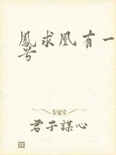 凤求凰有一美人兮