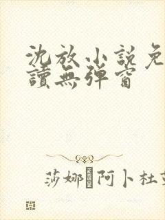 沈放小说免费阅读无弹窗