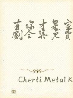 有你才是家电视剧全集免费观看高清封面