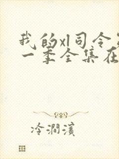 我的xl司令第一季全集在线观看