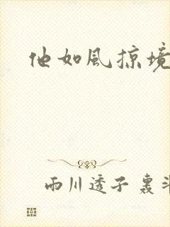 他如风掠境
