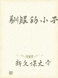 驯服的小子4封面