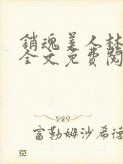 销魂美人林婷婉全文免费阅读小说