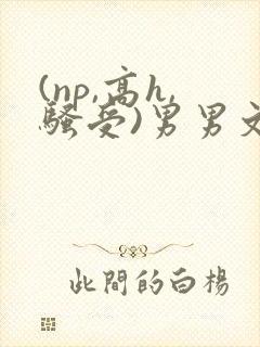 (np,高h,骚受)男男文封面