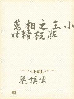 万相之王小说txt精校版