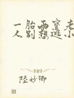 一胎两宝老婆大人别想逃小说全文免费阅读封面