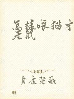 怎样喂猫才会抓老鼠