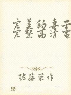 完美的妻子免费完整高清电视剧在线看封面