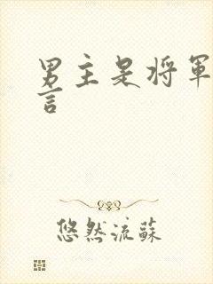 男主是将军的古言