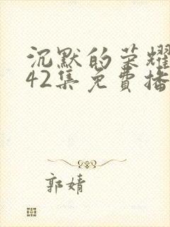 沉默的荣耀1—42集免费播放视频封面