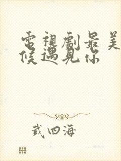 电视剧最美的时候遇见你