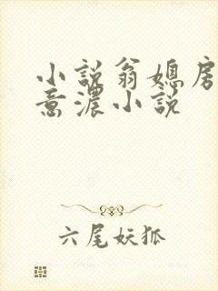 小说翁媳房中春意浓小说封面