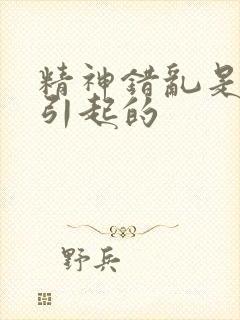 精神错乱是什么引起的