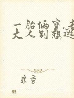 一胎俩宝,老婆大人别想逃1893