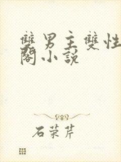 双男主双性笔趣阁小说