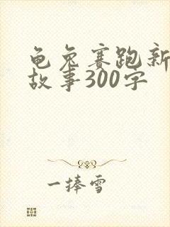 龟兔赛跑新编的故事300字