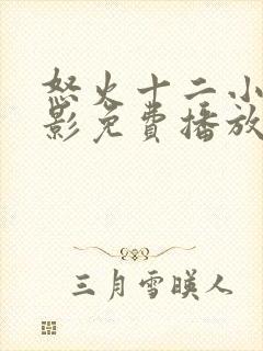 怒火十二小时电影免费播放在线观看