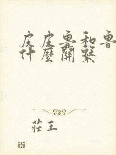 皮皮鲁和鲁西西什么关系