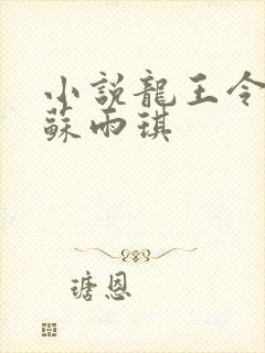 小说龙王令陈平苏雨琪