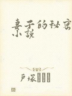 妻子的秘密林凡小说封面