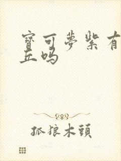 宝可梦紫有皮卡丘吗