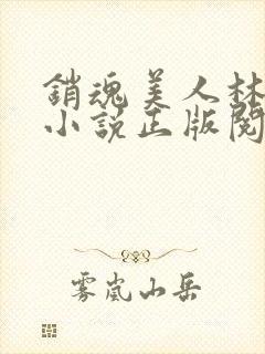 销魂美人林婷婉小说正版阅读封面