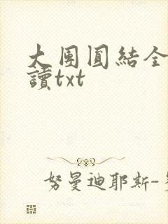 大团圆结全文阅读txt