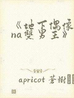 《地下偶像sana双男主》