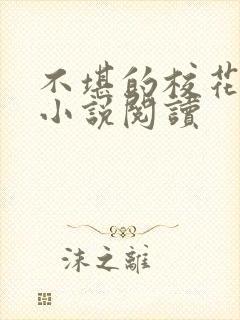 不堪的校花陈若小说阅读