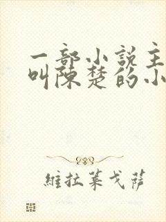 一部小说主人公叫陈楚的小说