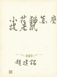 小花猫怎么样地捉老鼠