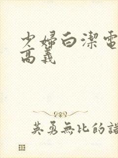少妇白洁电子书高义
