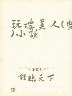 玩坏美人(双性)小说