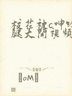 校花被c呻吟双腿大开视频