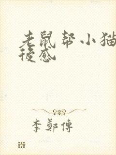 老鼠帮小猫的读后感