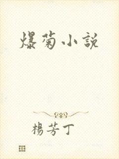 爆菊小说