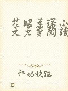 花昭叶琛小说全文免费阅读