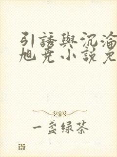 引诱与沉沦by旭尧小说免费阅读全文封面