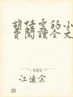 胡佳云的小说免费阅读全文无弹窗封面